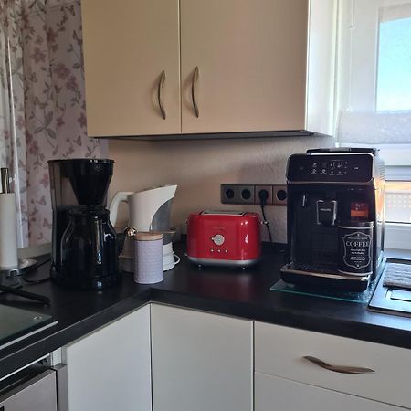 Ferienwohnung Pflueger Mit Terrasse Lauda-Königshofen Екстериор снимка