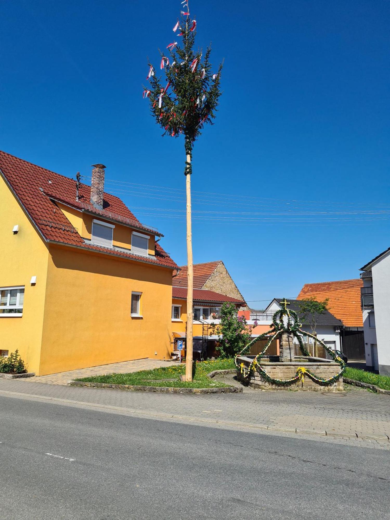 Ferienwohnung Pflueger Mit Terrasse Lauda-Königshofen Екстериор снимка